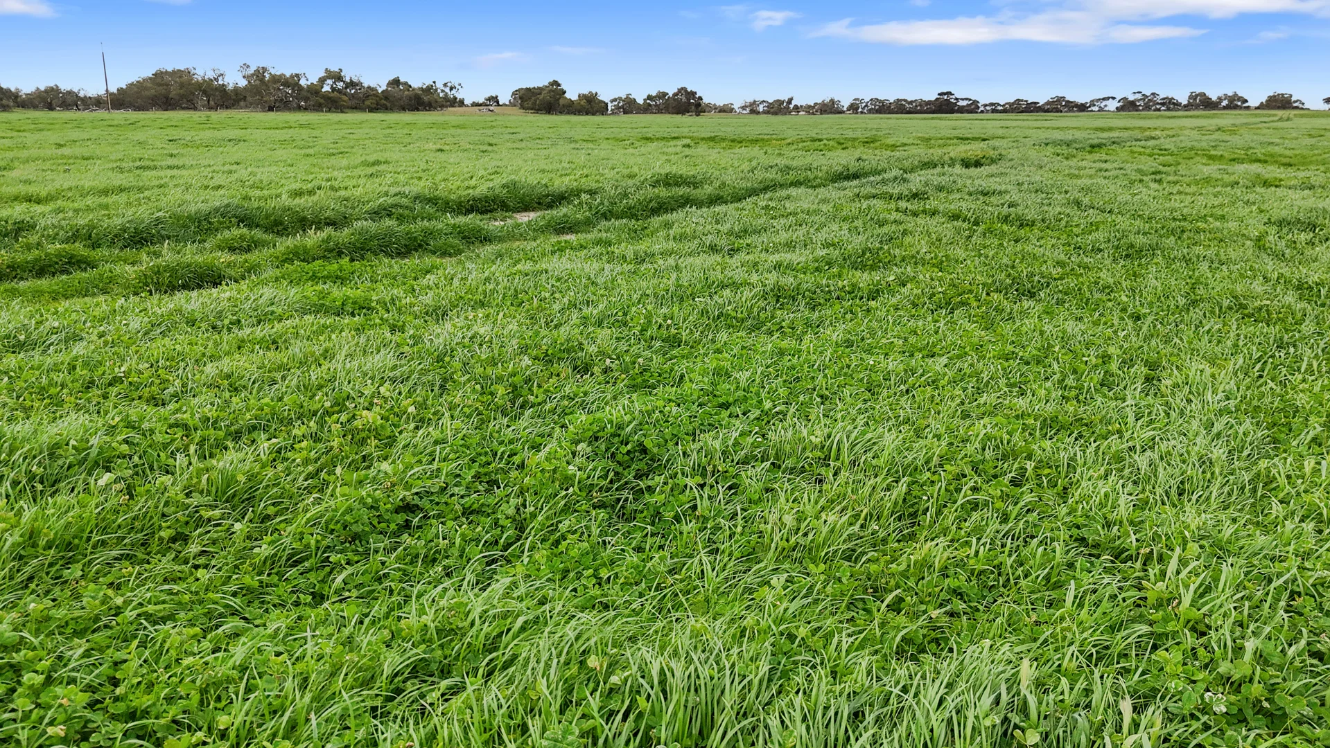 Additional image 8 of 1412 Red Bluff Road, Bordertown SA 5268