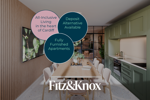 Fitzalan Place, Cardiff CF24, Studio to rent