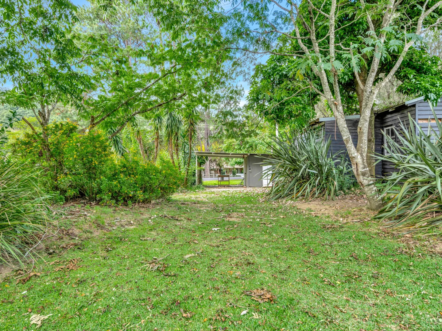 Additional image 16 of 111 Pine Avenue, Ulong NSW 2450
