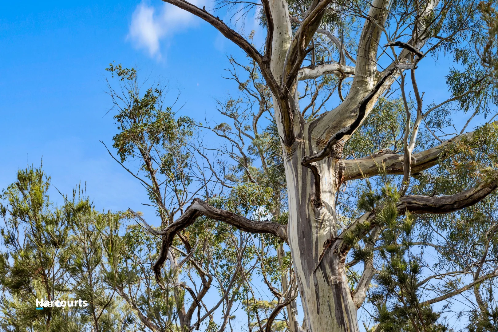 Additional image 10 of Lot 2 Scarrs Road, Garden Island Creek TAS 7112