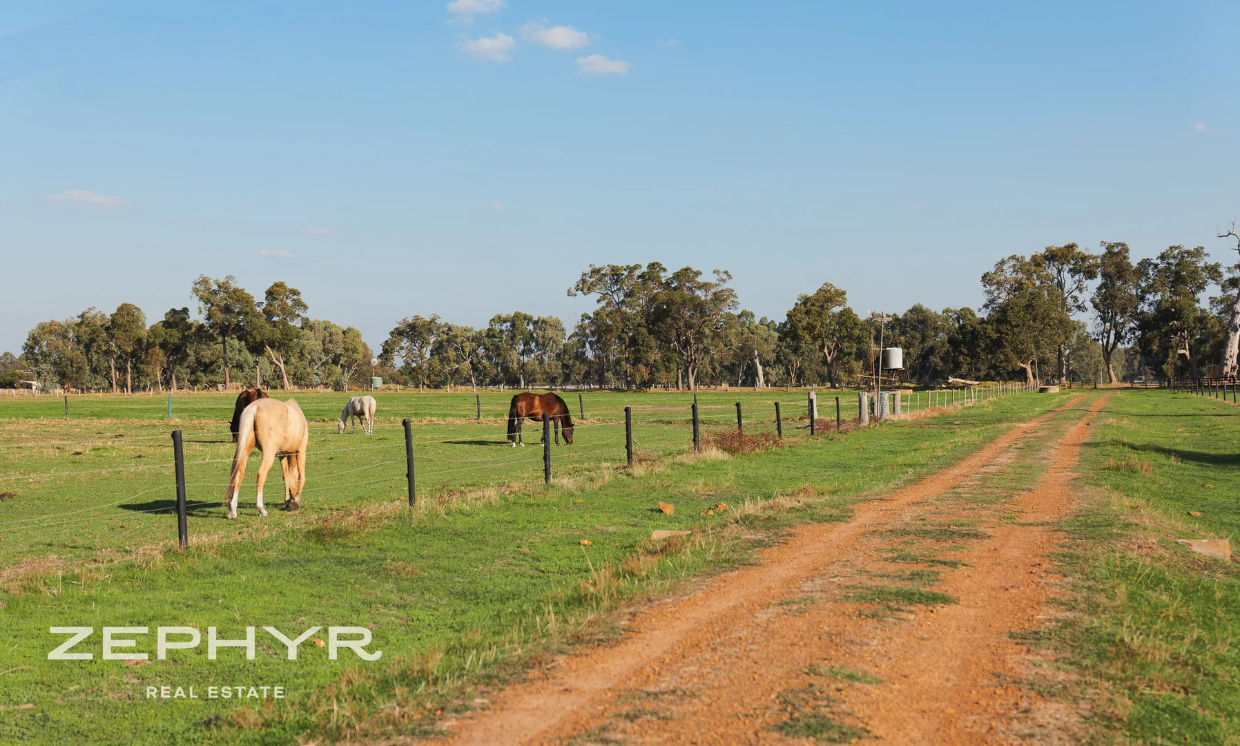 Additional image 14 of 315 Penn Street, Boyanup WA 6237