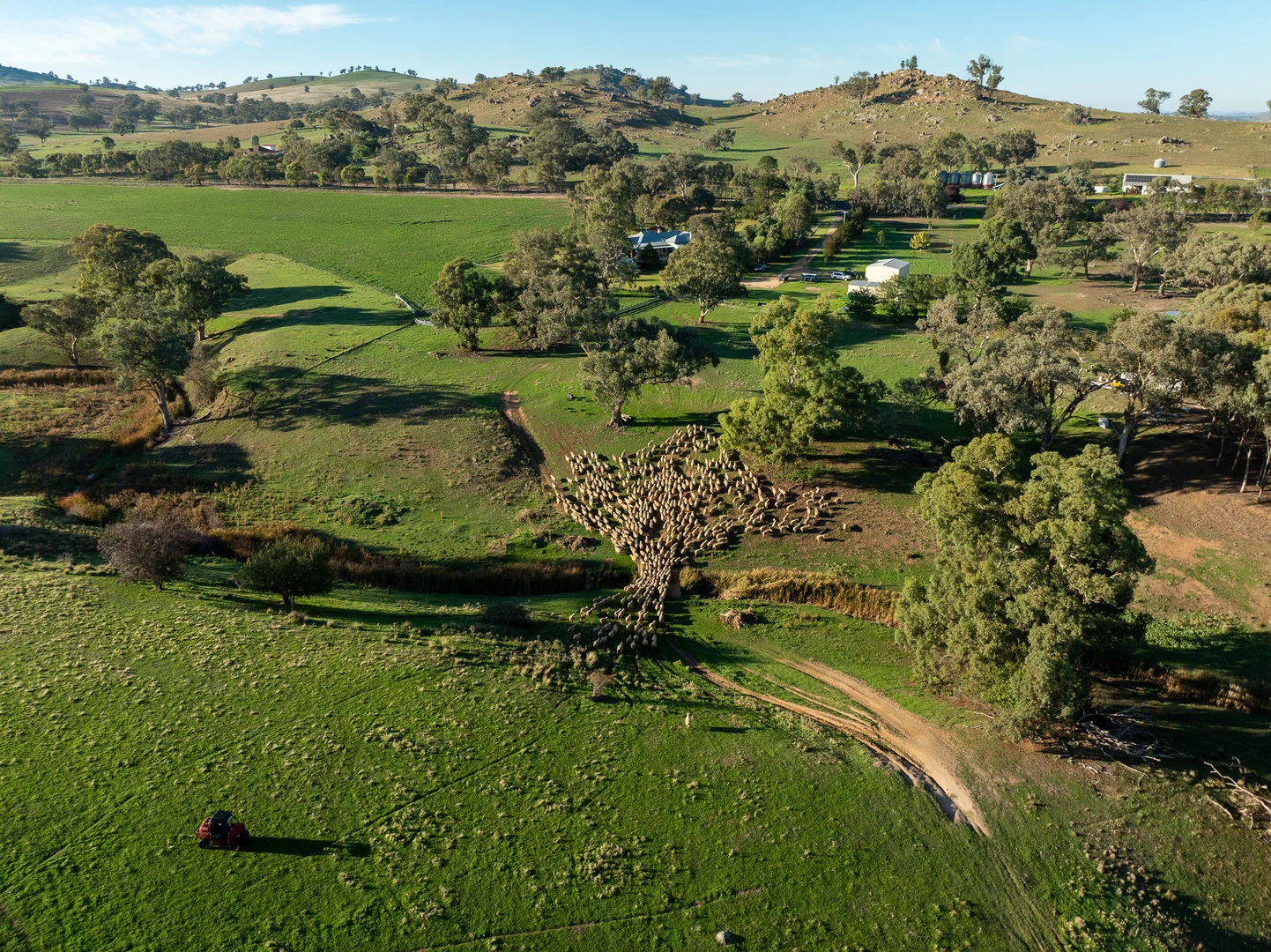 Additional image 8 of 1629 Darby Falls Road, Cowra NSW 2794