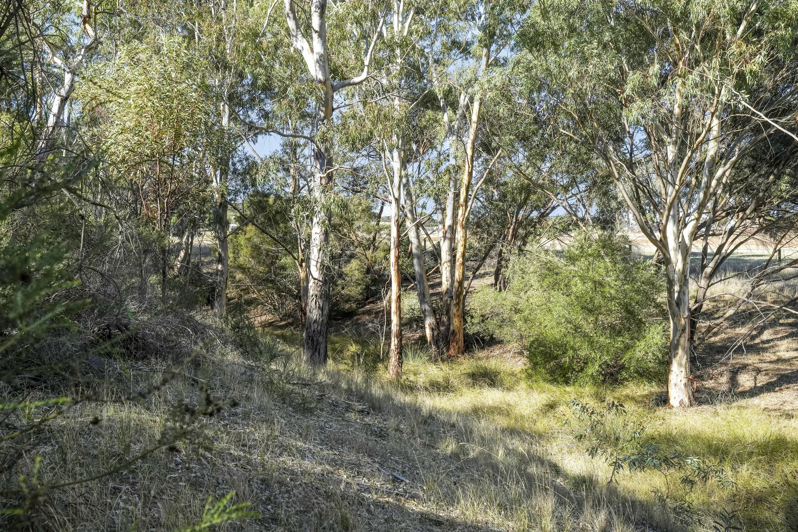 Additional image 11 of 42 Klemm Road, Kapunda SA 5373