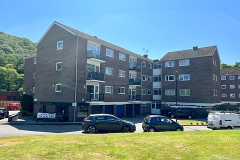 Ladies Spring Court, Dore S17