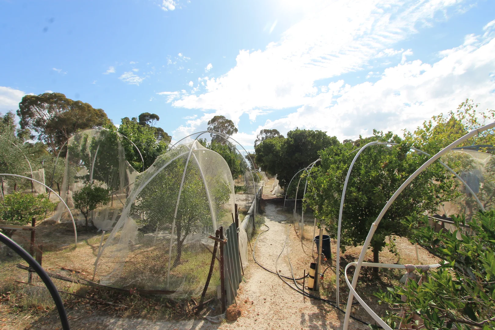 Additional image 15 of 111 Panorama View, Hoddys Well WA 6566