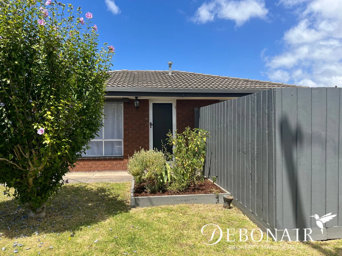 10 Dorcas Street, Newcomb VIC 3219