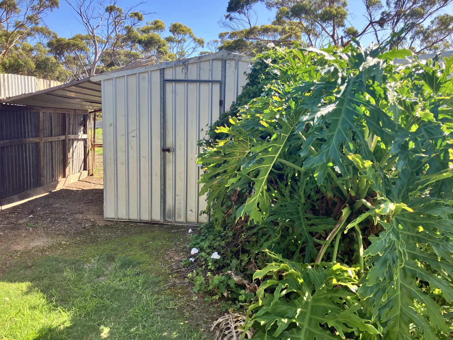 Additional image 39 of 65 Dunn Street, Ravensthorpe WA 6346