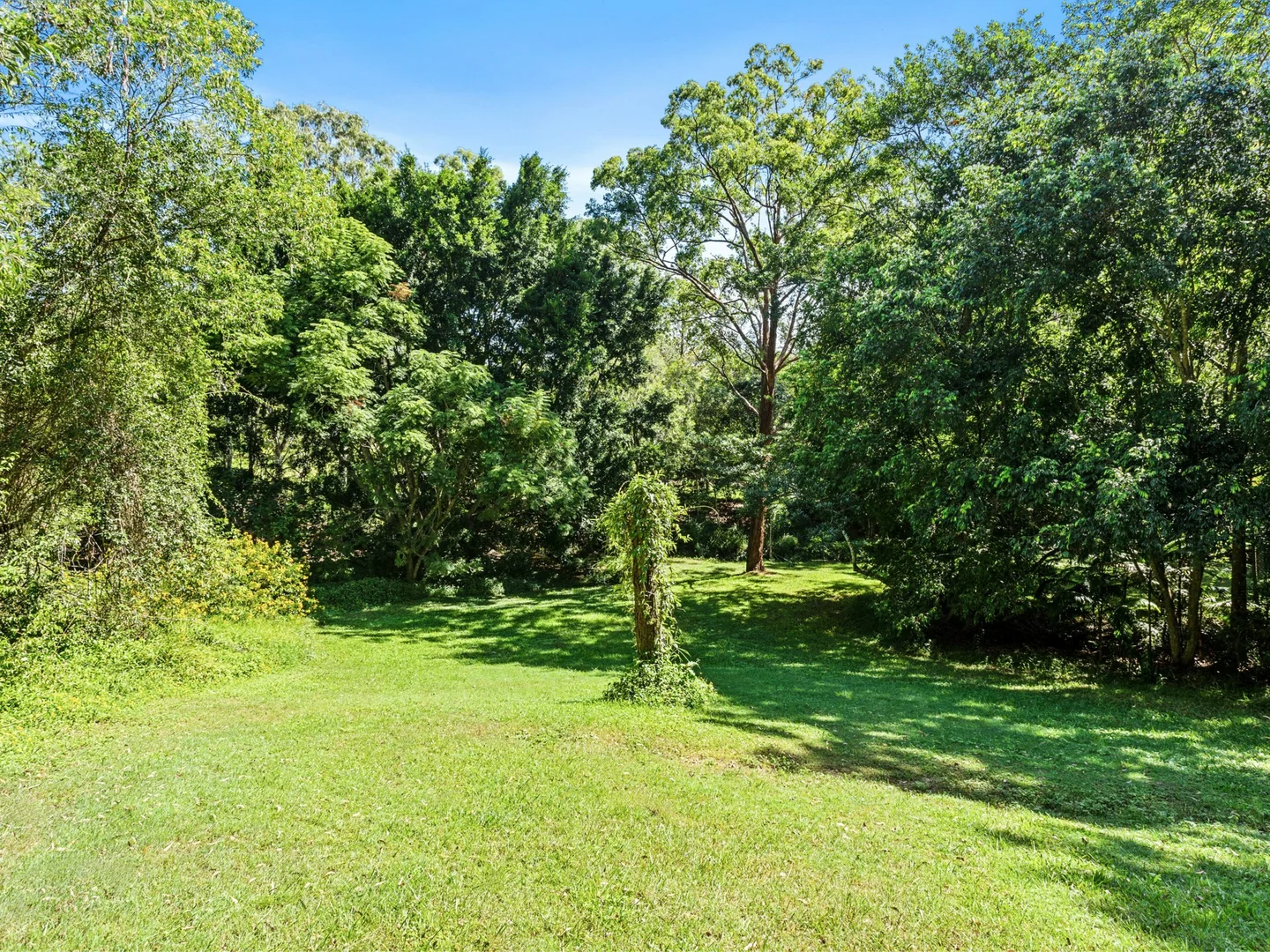 Additional image 23 of 145a Worongary Road, Tallai QLD 4213
