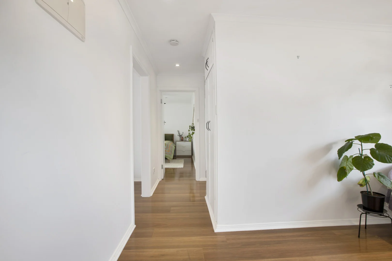 Additional image 5 of 11 Charlton Terrace, Wanilla SA 5607