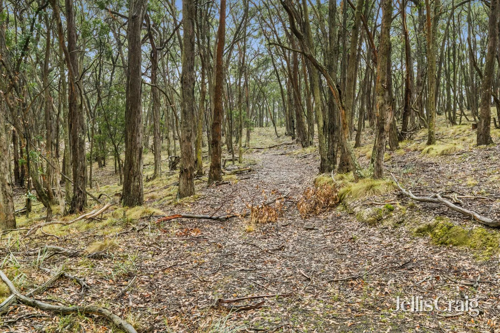 Additional image 10 of Lot 1 Skirkas Road, Buninyong VIC 3357