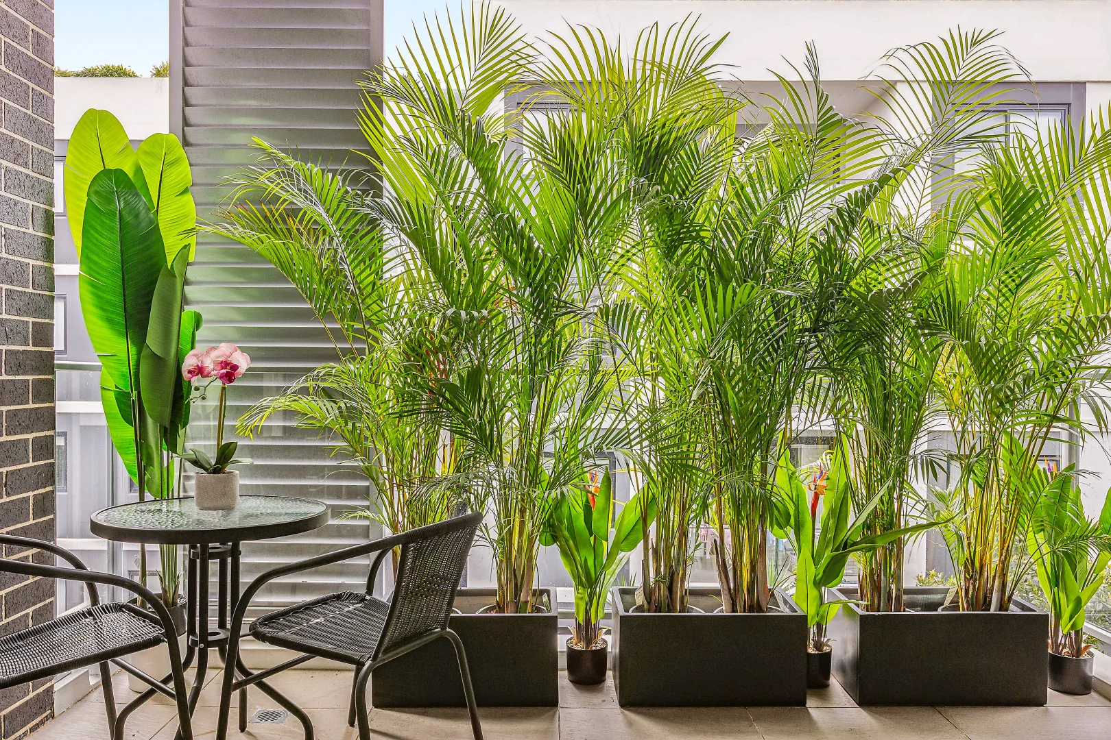 Additional image 2 of 32/15-21 Mindarie Street, Lane Cove NSW 2066