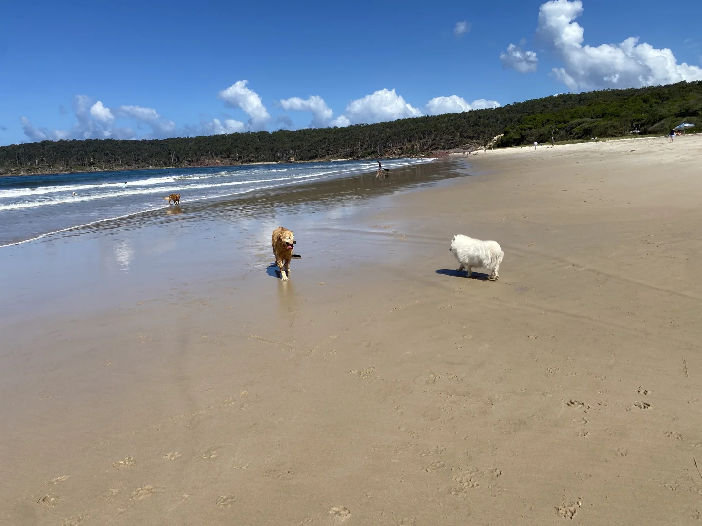 Additional image 3 of 11 Coraki Drive, Pambula Beach NSW 2549