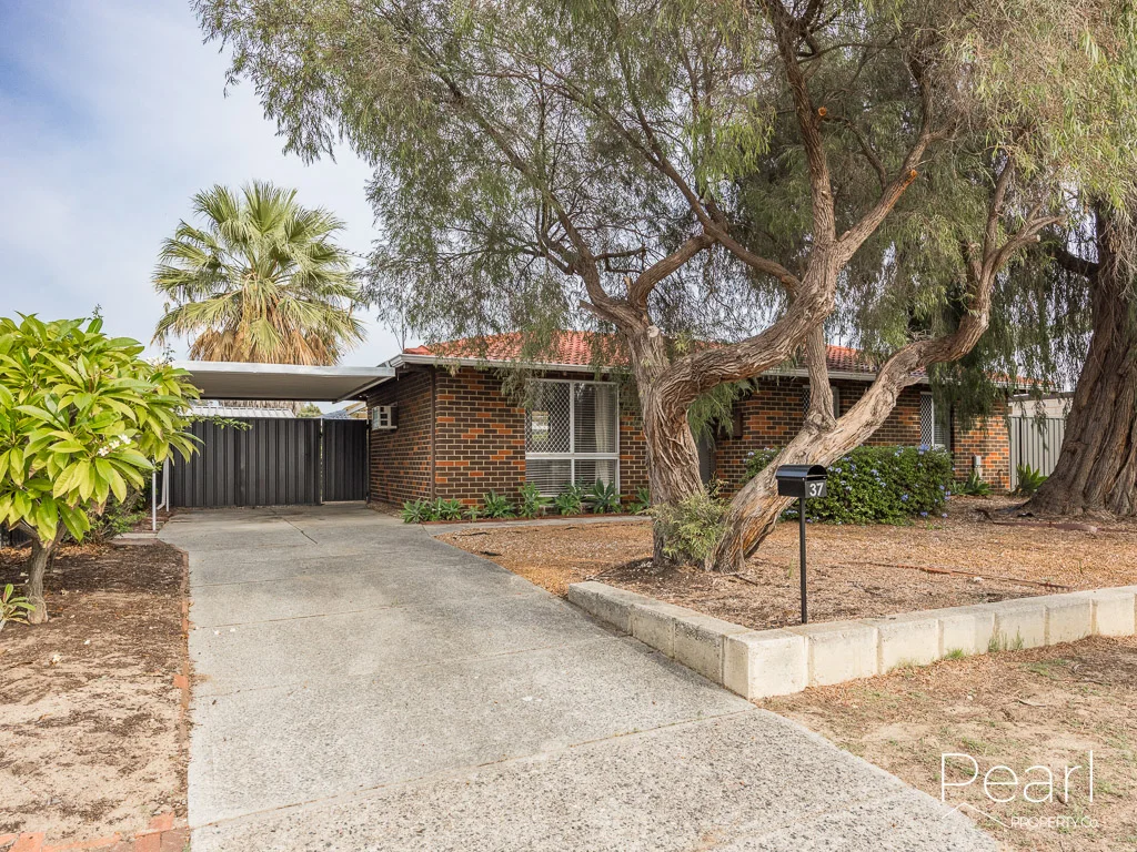 37 Blaxland Way, Padbury WA 6025