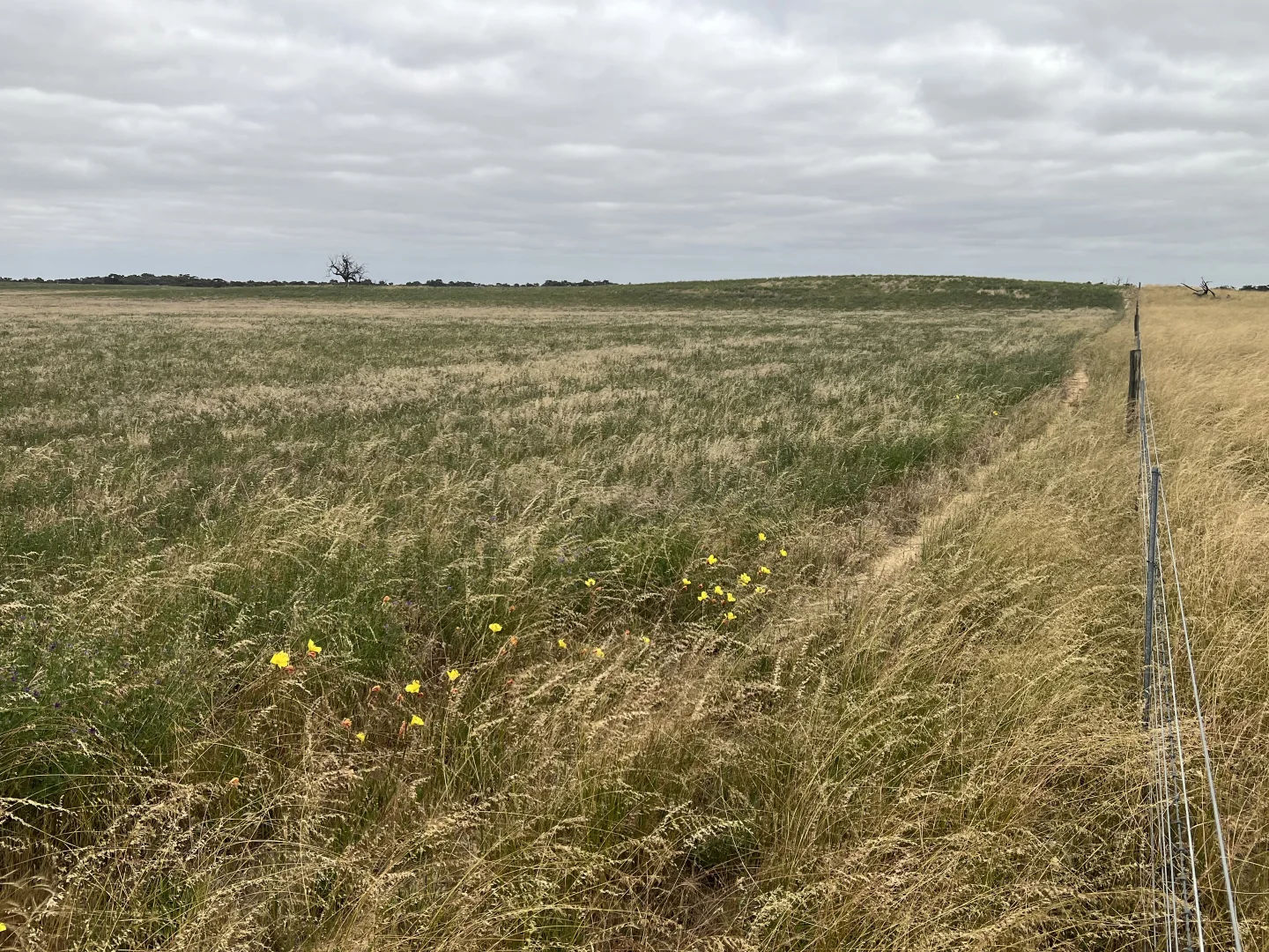 Additional image 18 of 1412 Red Bluff Road, Bordertown SA 5268
