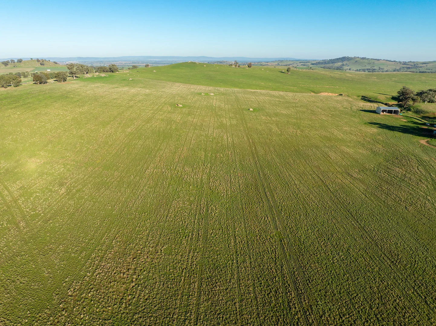Additional image 9 of 1629 Darby Falls Road, Cowra NSW 2794