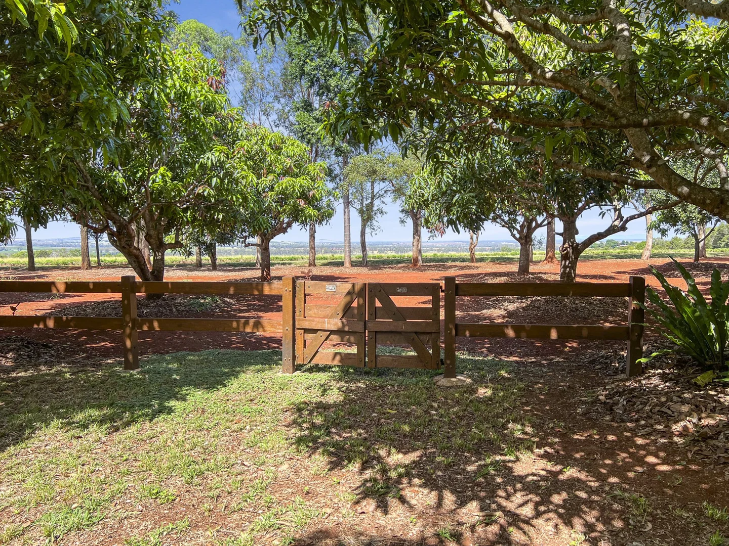 Additional image 20 of Lot 2 Birds Road, Tingoora QLD 4608