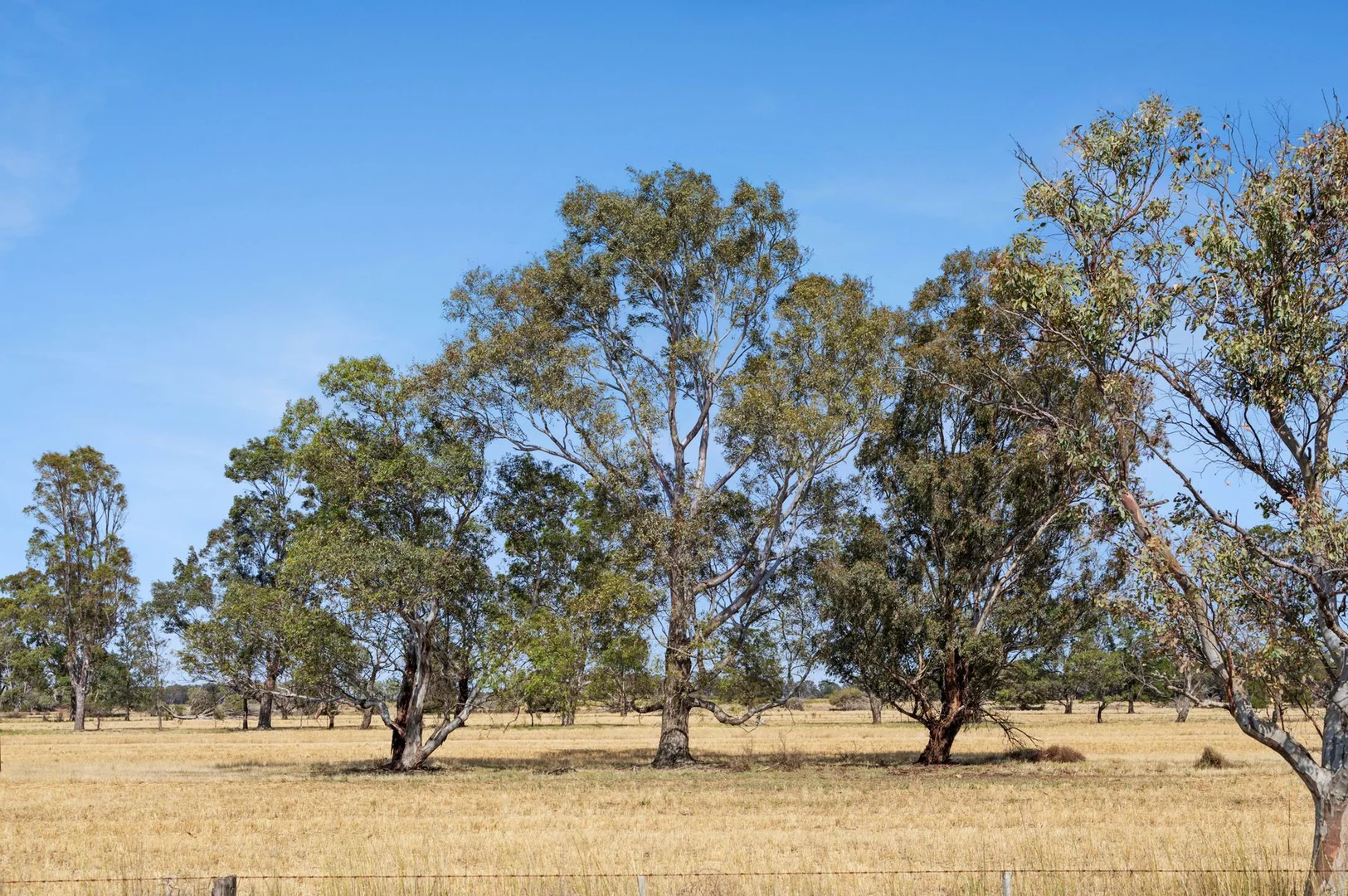Additional image 8 of 361 Hercus Road, Calivil VIC 3573