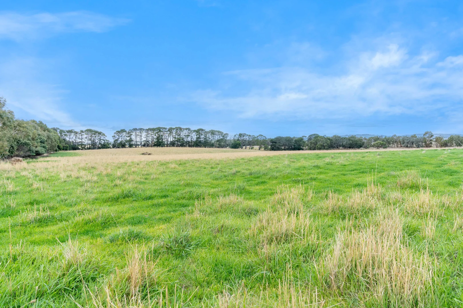 Additional image 26 of 504 Sidonia Road, Sidonia VIC 3444