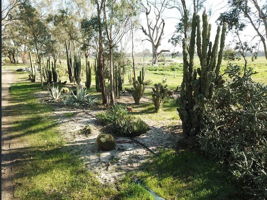 Additional image 29 of 478 Williams Road, Strathmerton VIC 3641