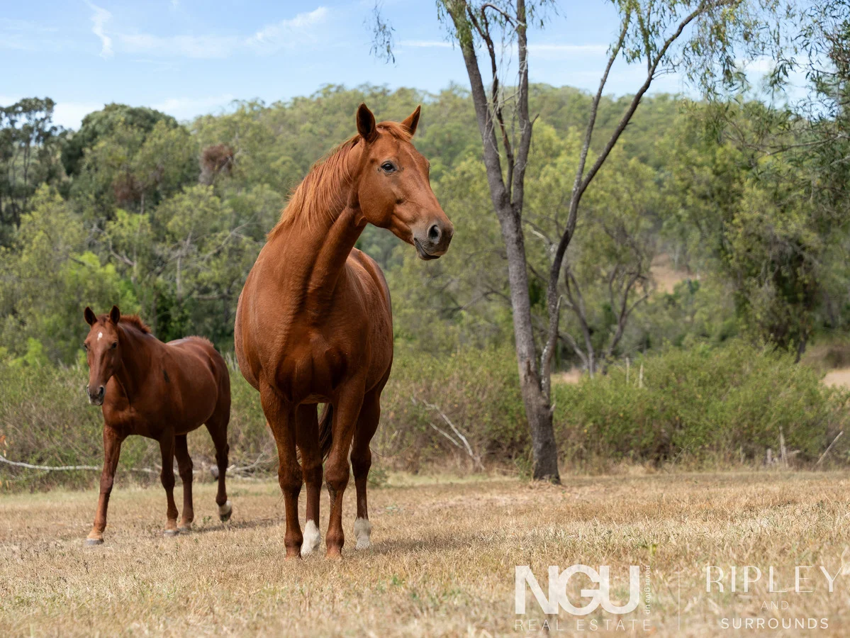 Additional image 21 of 22 Waterhouse Road, Summerholm QLD 4341