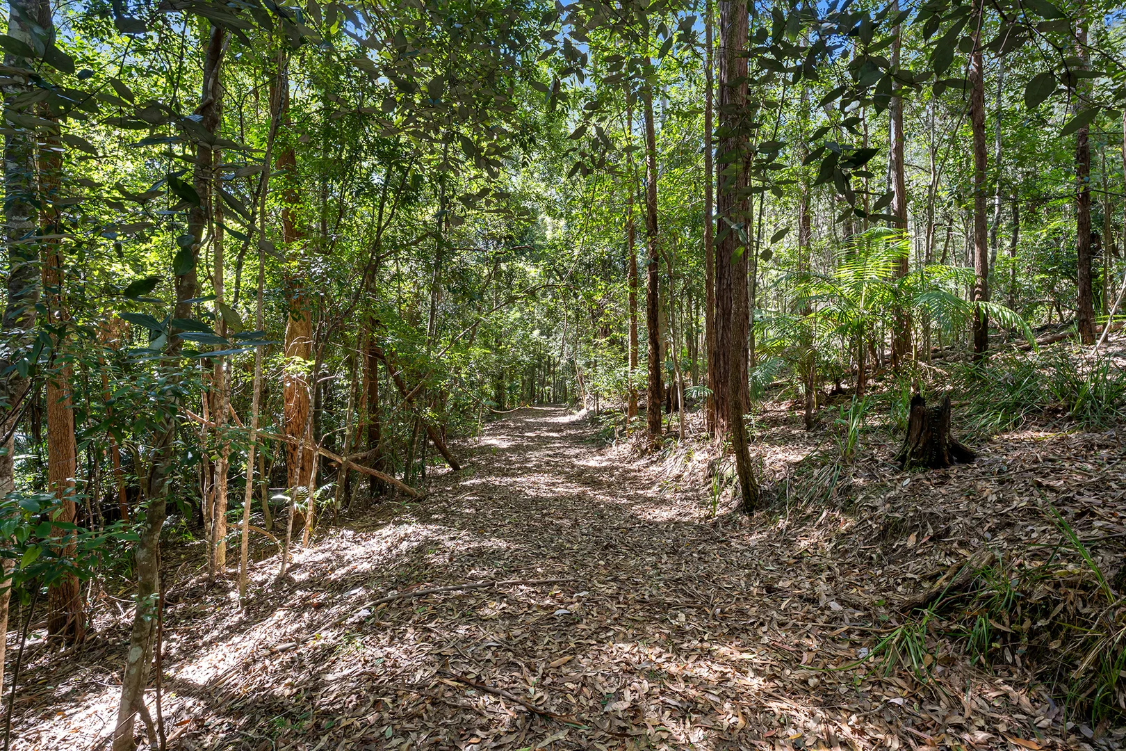 Additional image 27 of 516 Owens Road, Martinsville NSW 2265