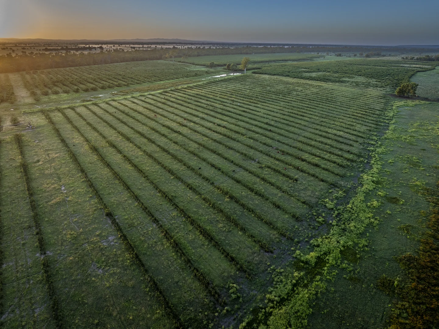 Additional image 12 of 1727 Boombah Road, Mackenzie QLD 4702