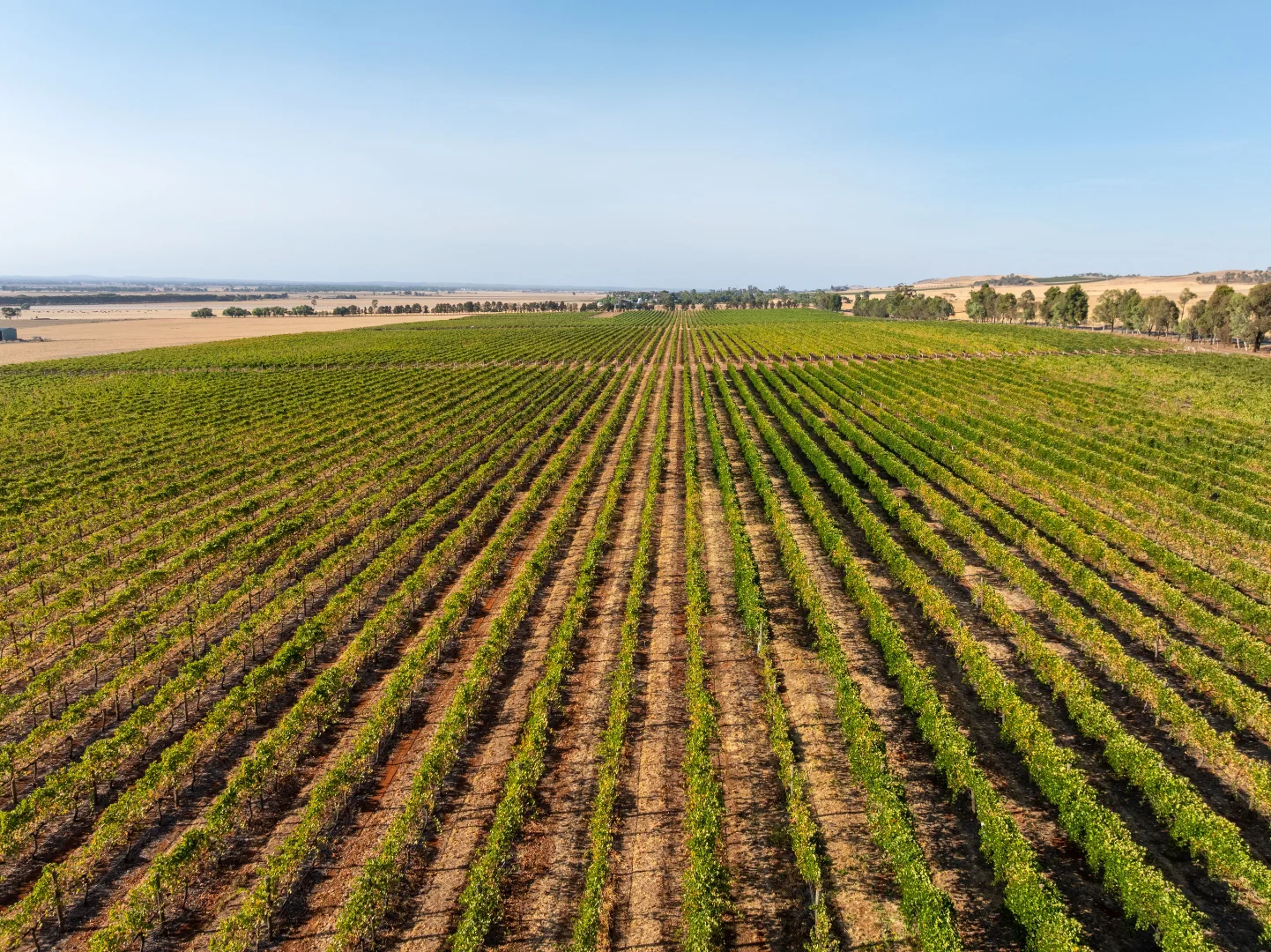 Additional image 17 of 22 Willoughby Road, Burramboot VIC 3559