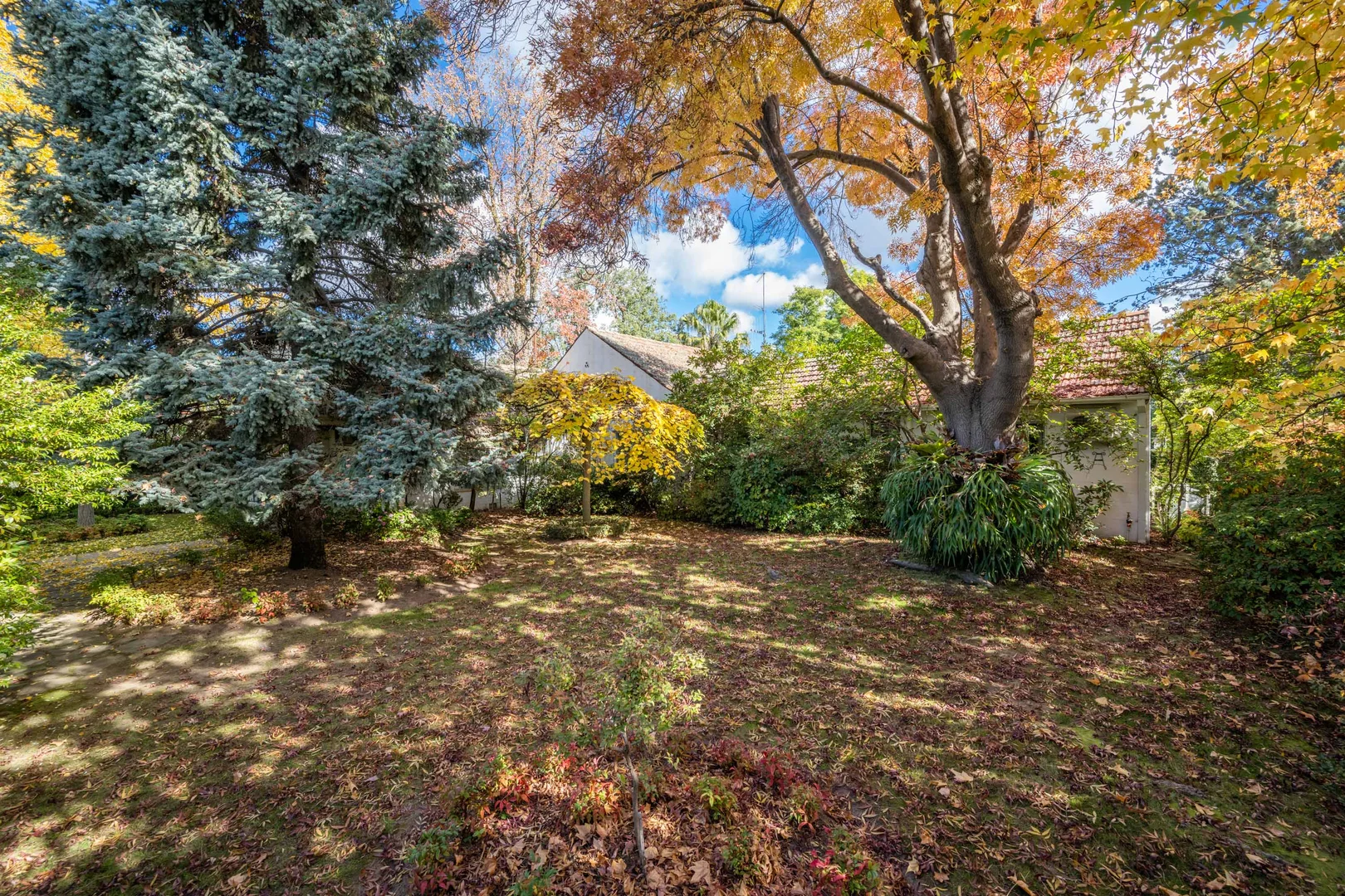 Additional image 18 of 80 Knight Street, Shepparton VIC 3630