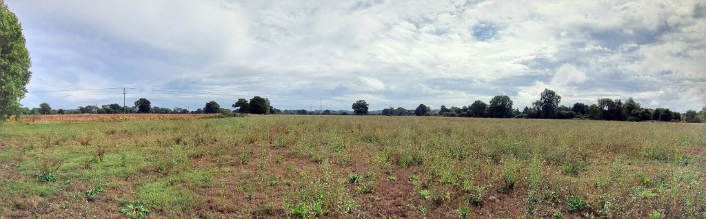 Additional image 10 of Land for saleMoor Lane, Sturminster Marshall BH21