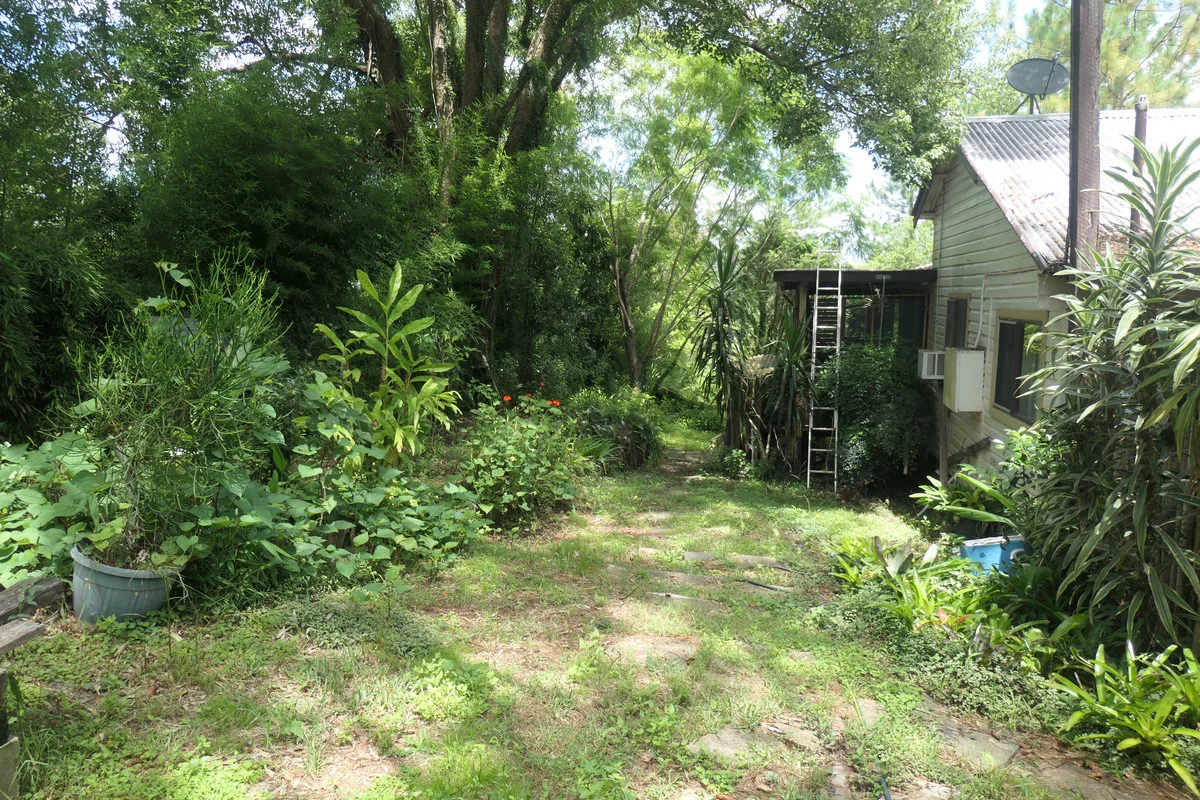 Additional image 22 of 18 Clarence Street, Bonalbo NSW 2469