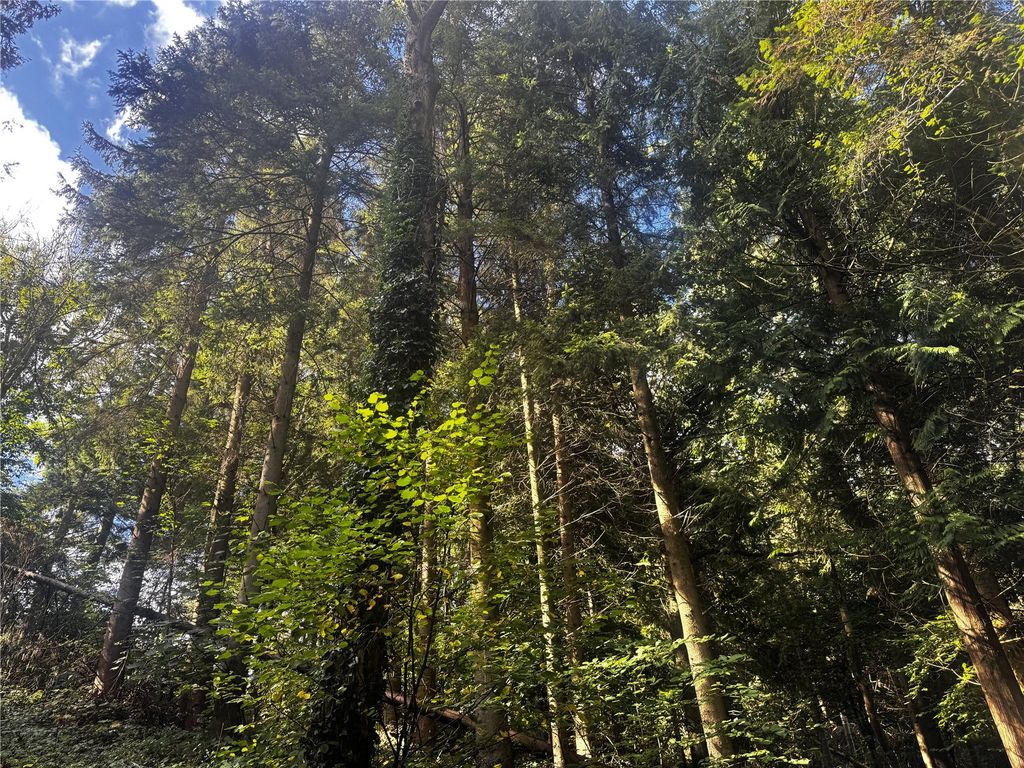 Additional image 2 of Land for saleBerriew, Welshpool, Powys SY21