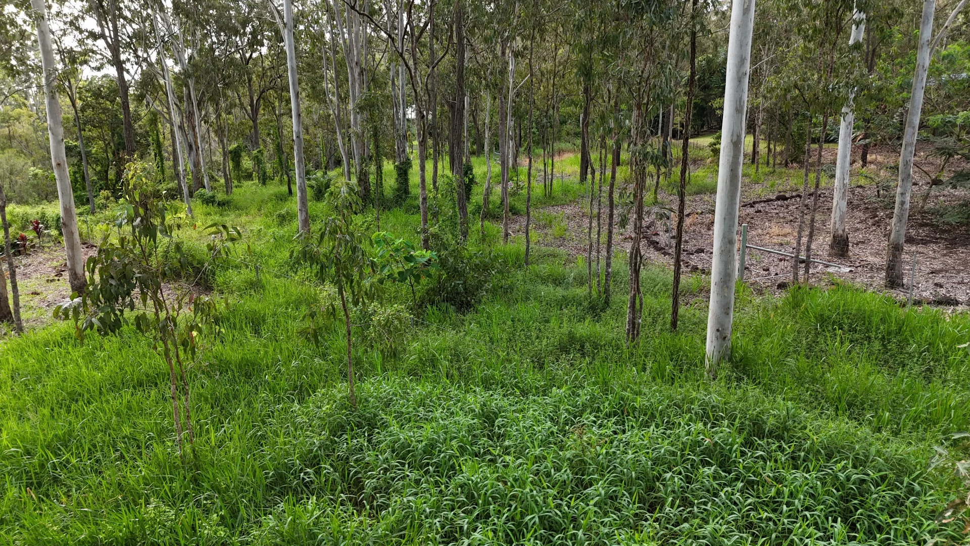 Additional image 2 of 921 Bulankoff Road, Tolga QLD 4882