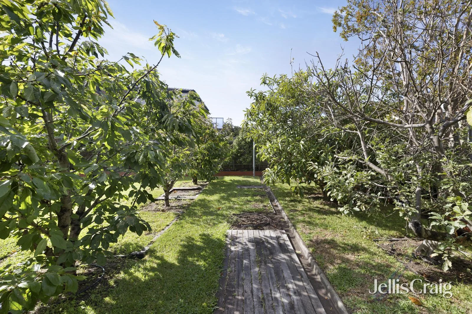 Additional image 14 of 20 Mortimore Street, Bentleigh VIC 3204