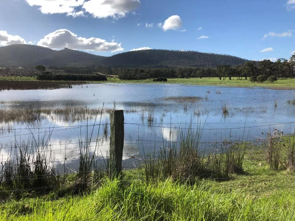 Additional image 34 of 2099 Yellanup Road, Porongurup WA 6324