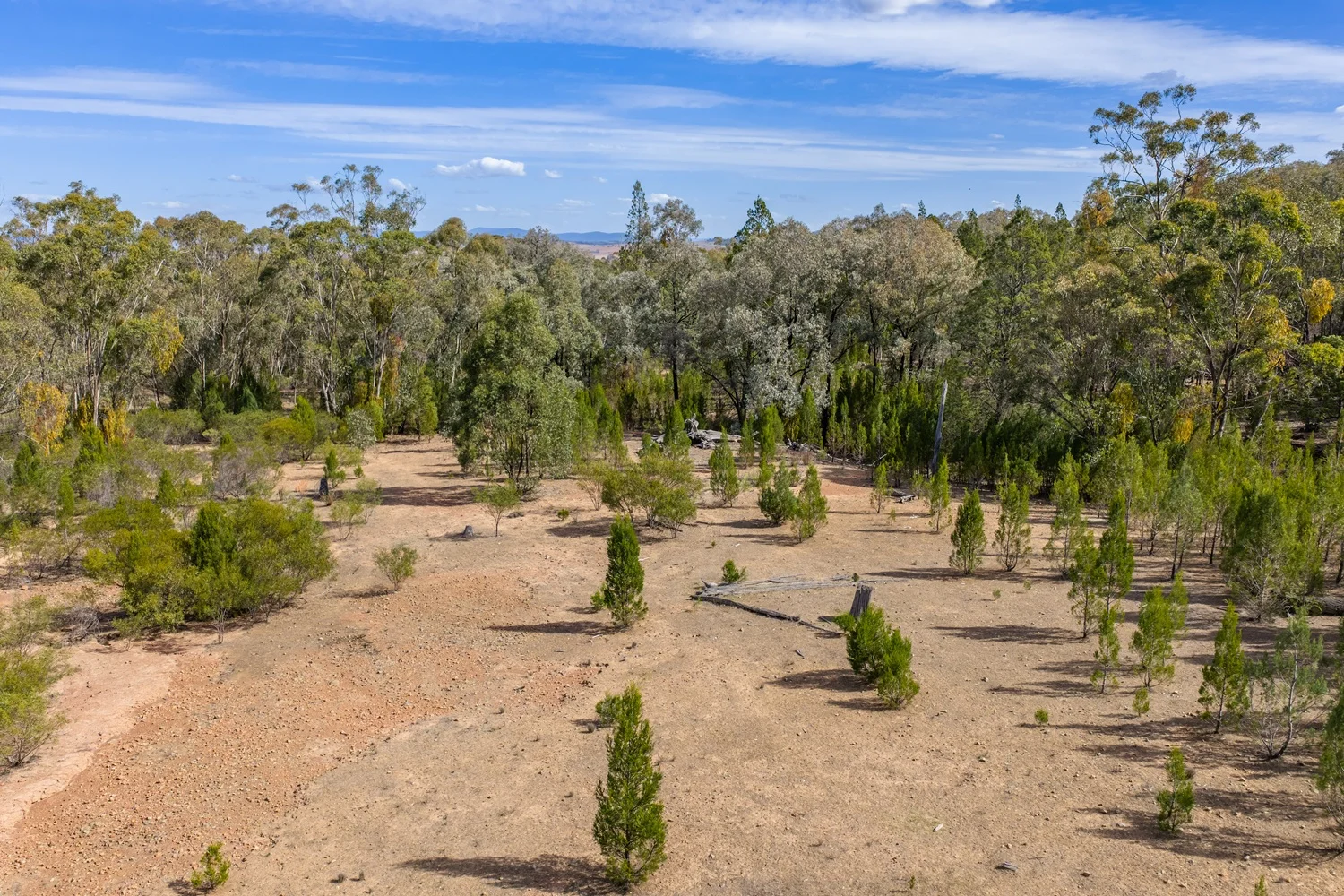 Additional image 21 of 3705 Nanami Lane, Canowindra NSW 2804