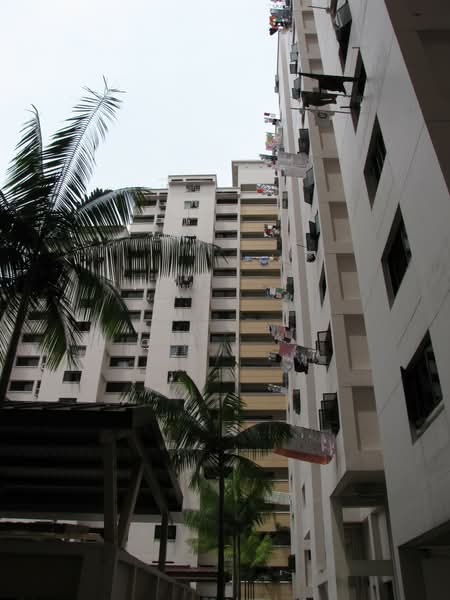 Additional image 21 of 523 Jelapang Road