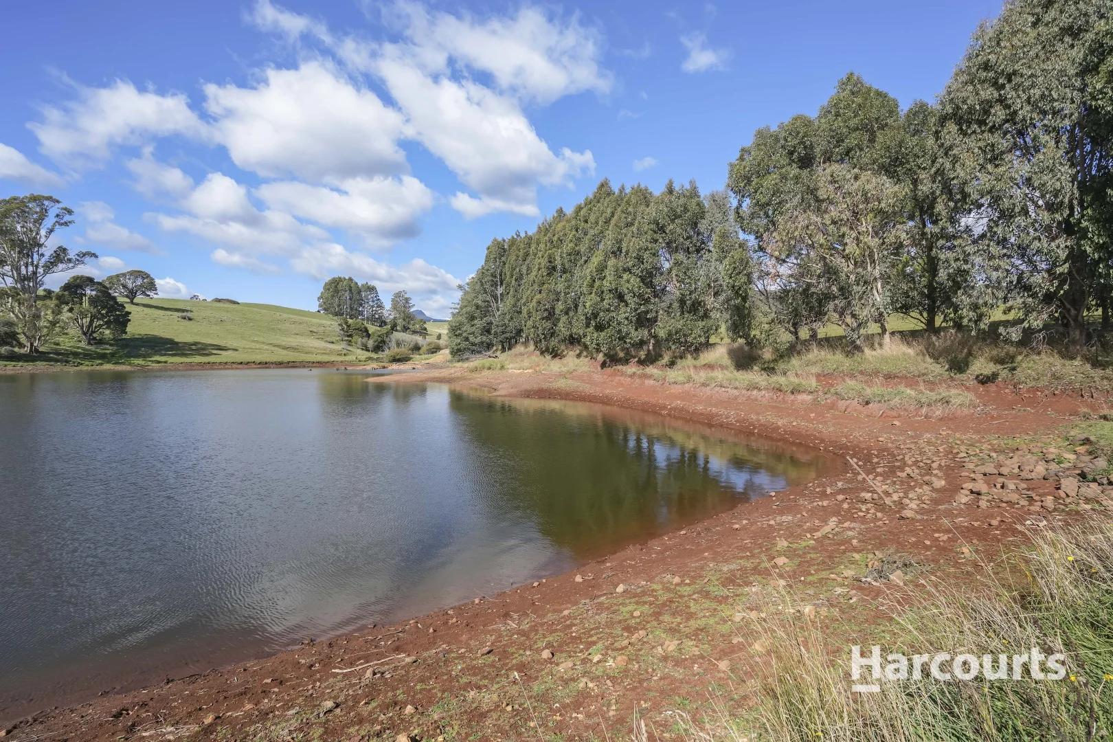 Additional image 50 of 214 Mathinna Plains Road, Ringarooma TAS 7263