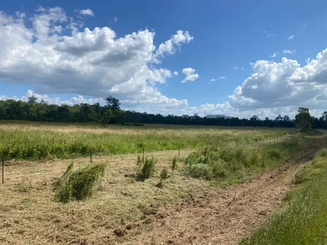 Additional image 6 of Lot 21 Exmoor Road, Bloomsbury QLD 4799