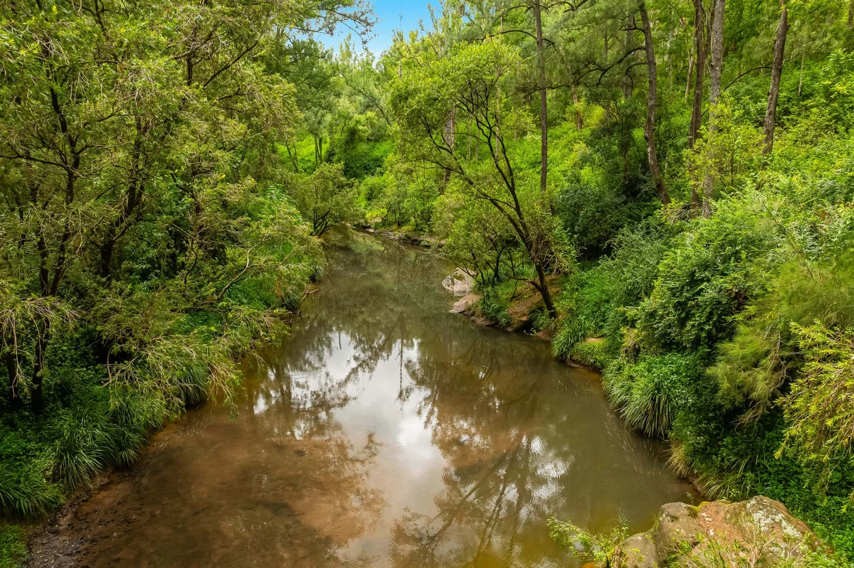 Additional image 17 of 18 Ryans Road, Bonalbo NSW 2469