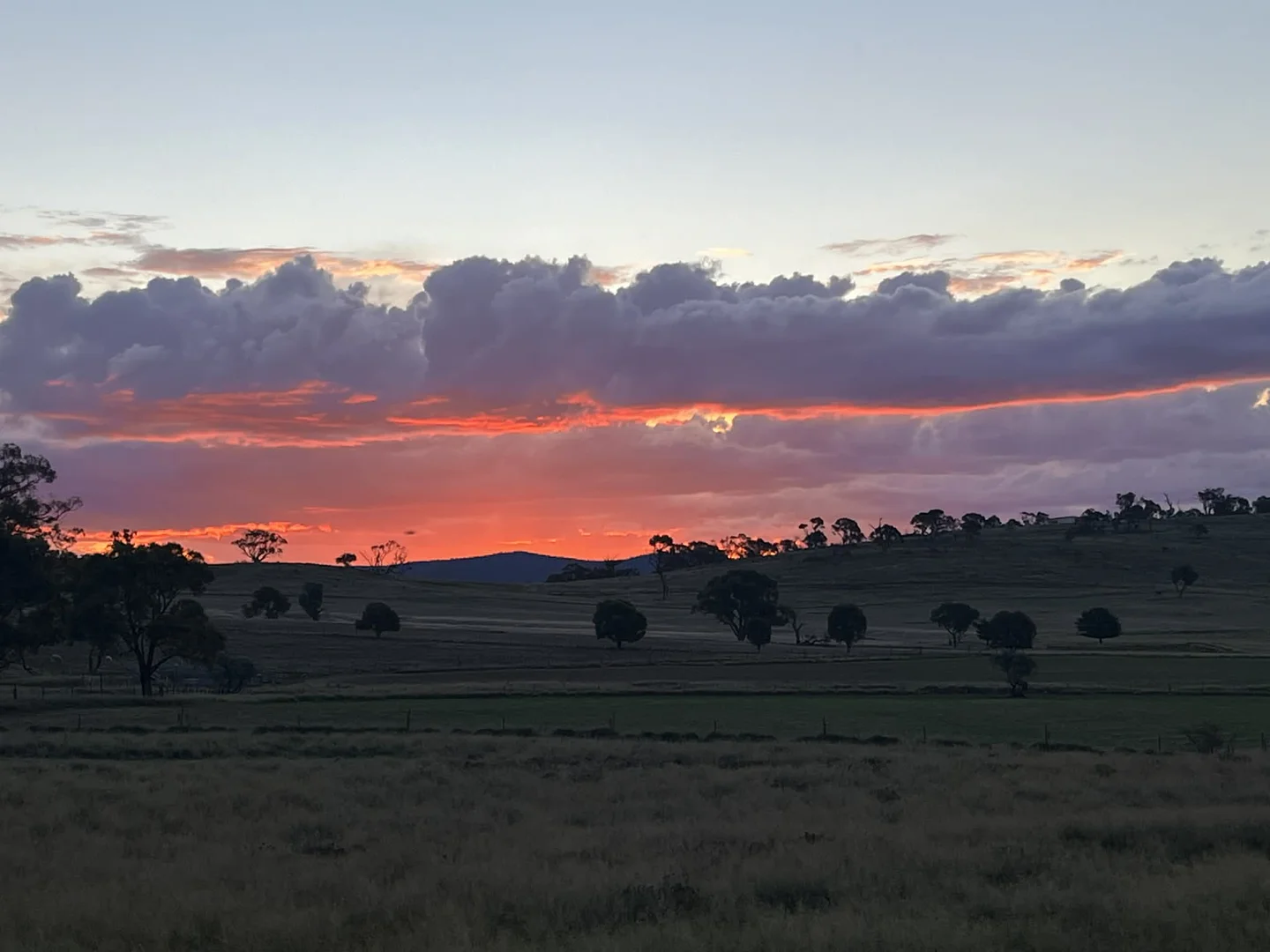 Additional image 18 of Lot 47 DP 750531 Rothlyn Road, Chakola NSW 2630