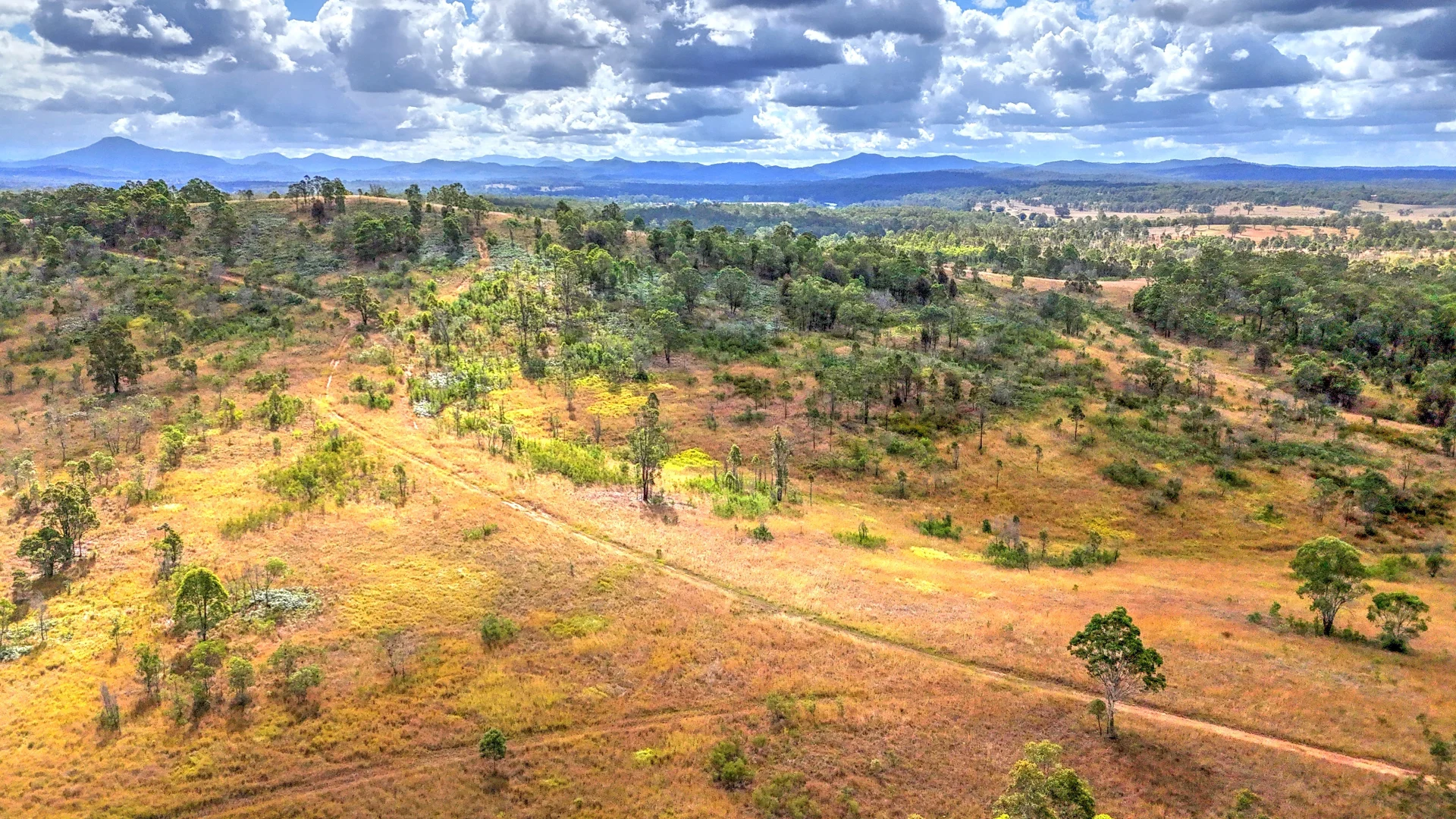 Additional image 6 of Lot/101 & 99 Silverwood Ave, Temagog NSW 2440