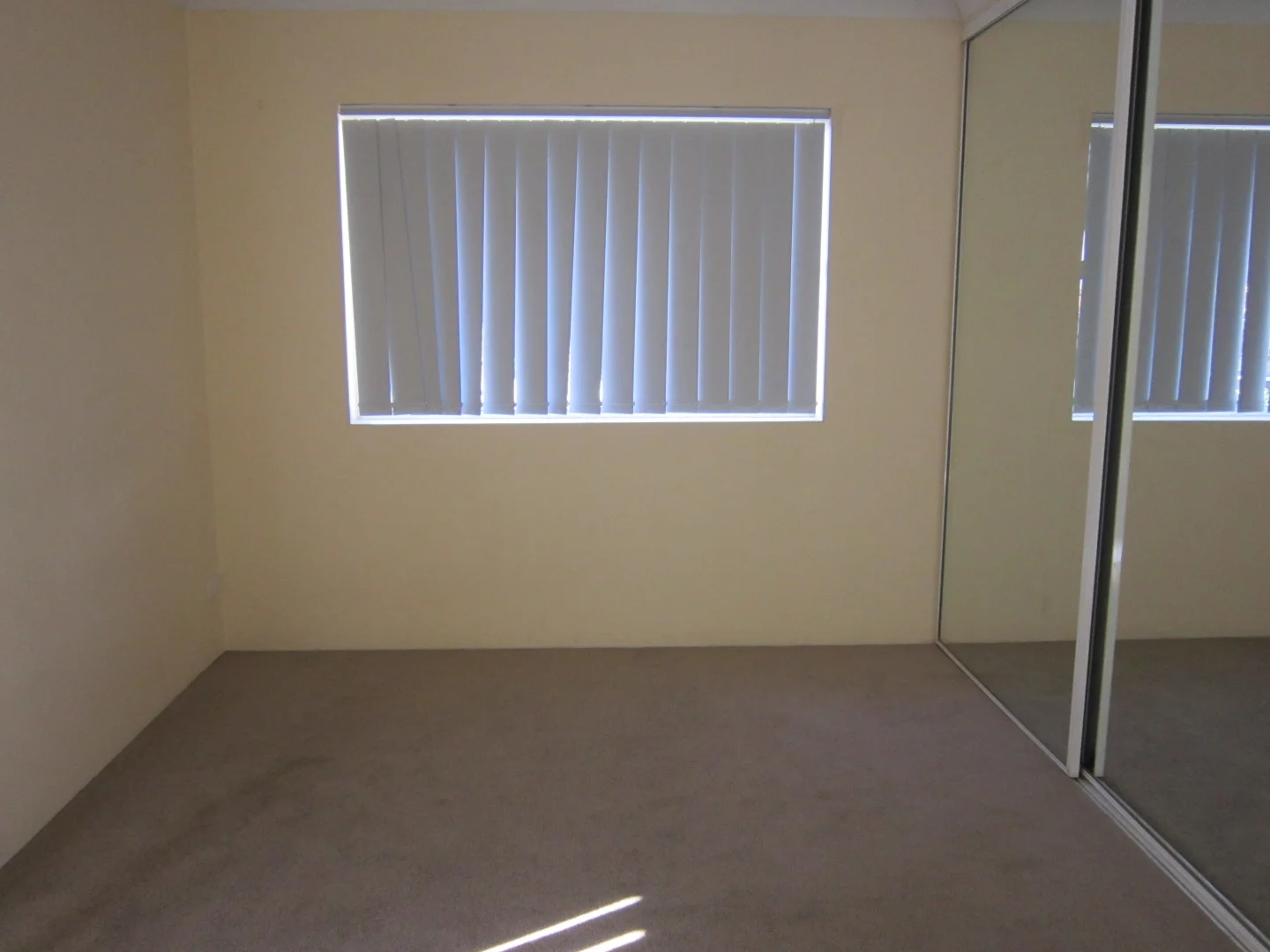2/237 Cavendish Road, Coorparoo QLD 4151 photo 5