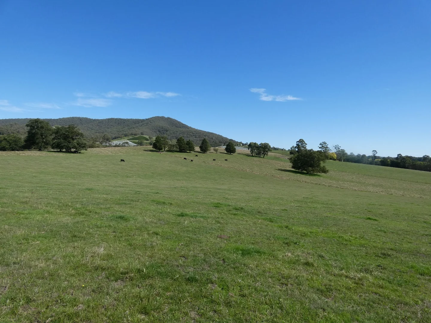Additional image 25 of 70 Hill Road, Gruyere VIC 3770