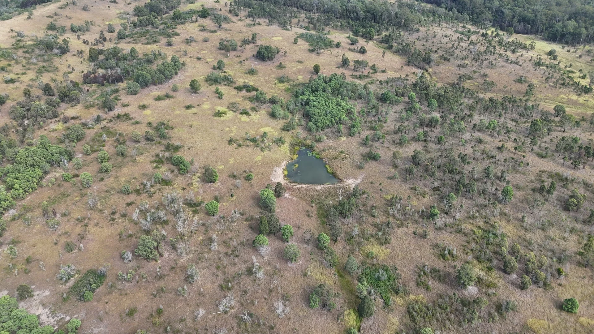 Lot/101 & 99 Silverwood Ave, Temagog NSW 2440