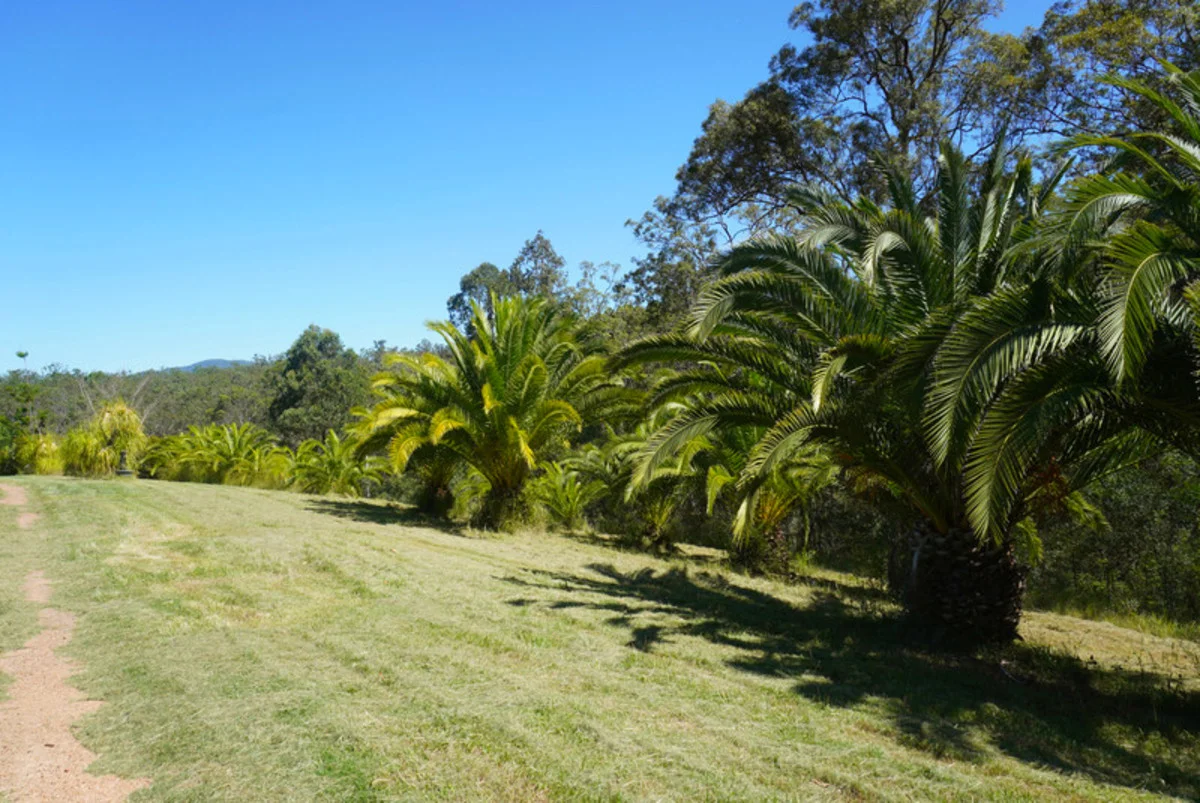 Additional image 21 of 619 Bulldog Road, Bulldog NSW 2469
