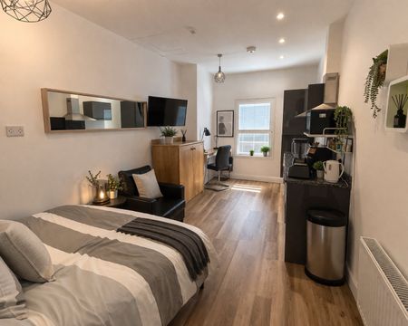 Osborne Terrace, Sandyford, Newcastle Upon Tyne NE2, Studio to rent