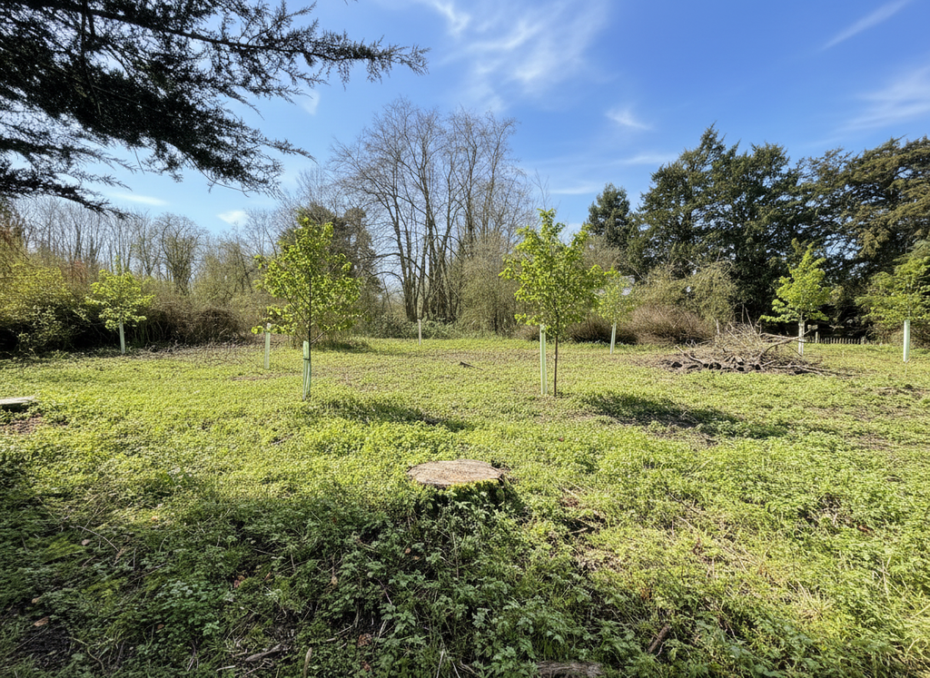 Land for saleMeadowside, Stoke By Clare, Sudbury, Suffolk CO10