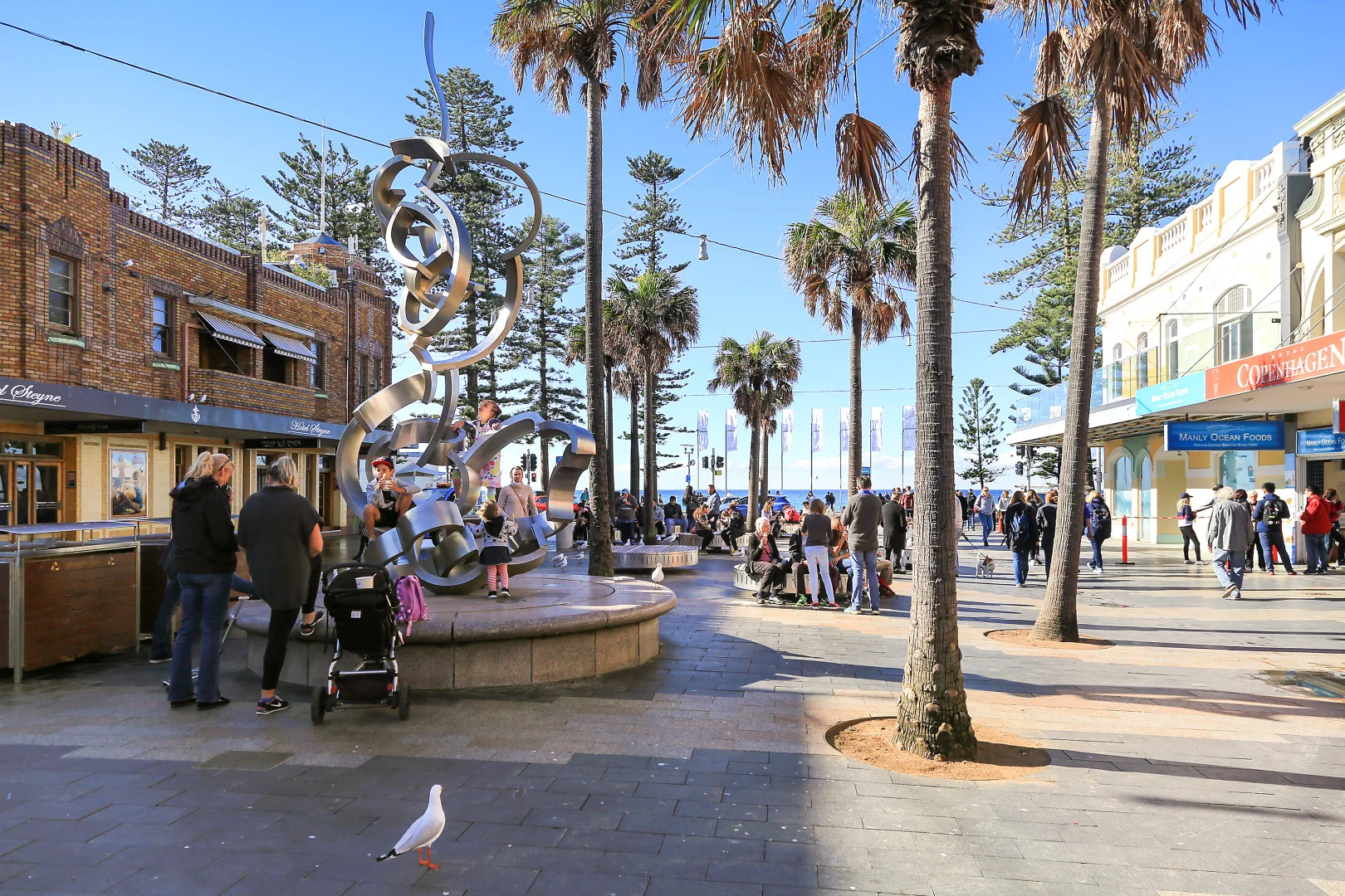 Additional image 18 of 307/21 Belgrave Street Aka 13 Whistler Street, Manly NSW 2095