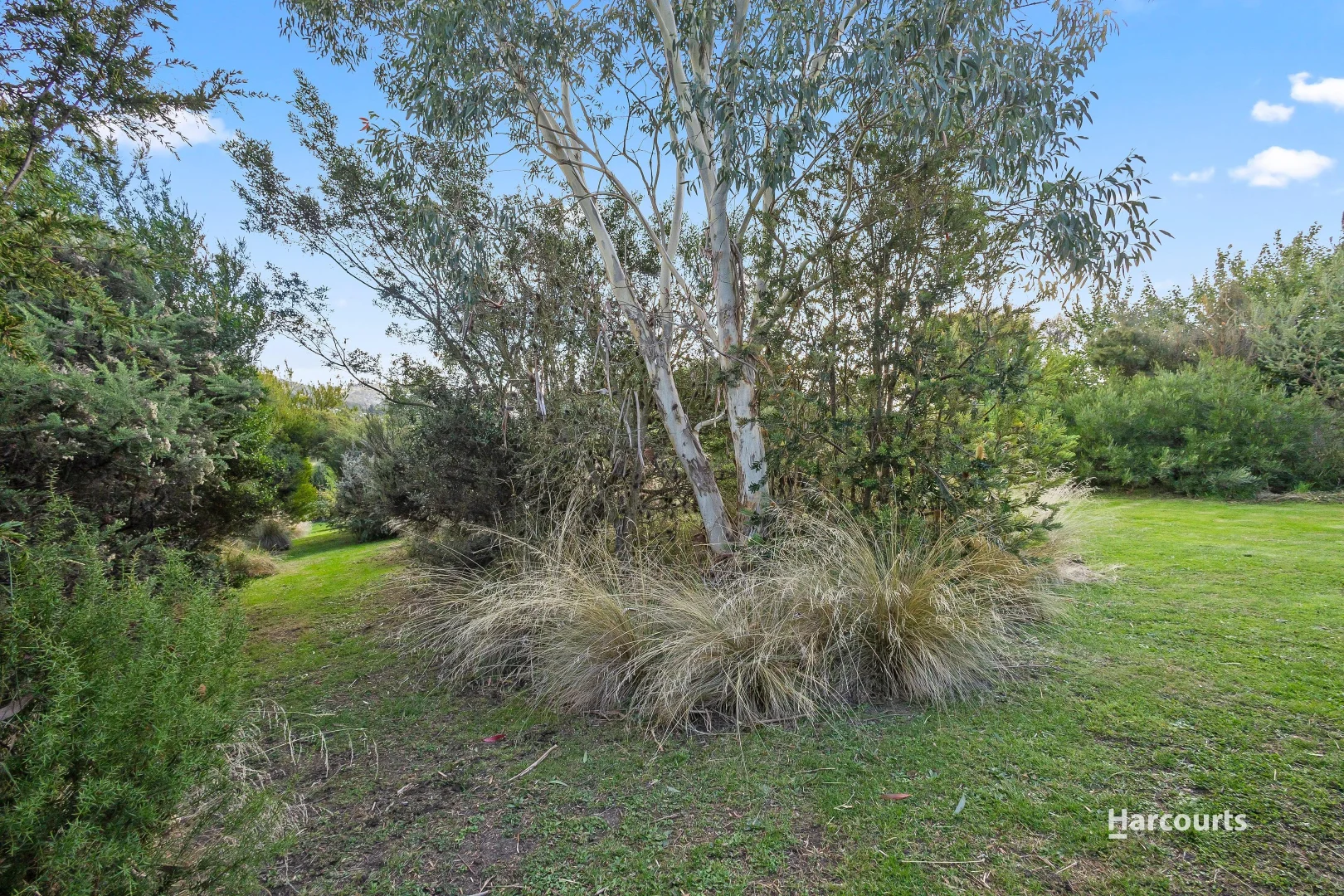Additional image 34 of 49C Thorp Street, Cygnet TAS 7112