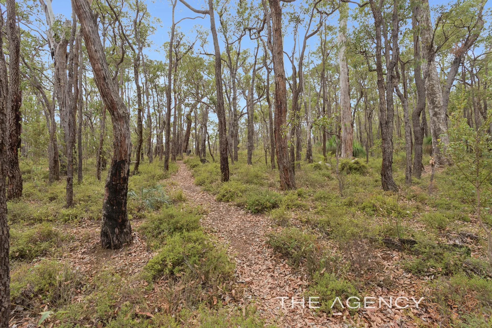 Additional image 31 of 220 Tarrup Street, Chidlow WA 6556
